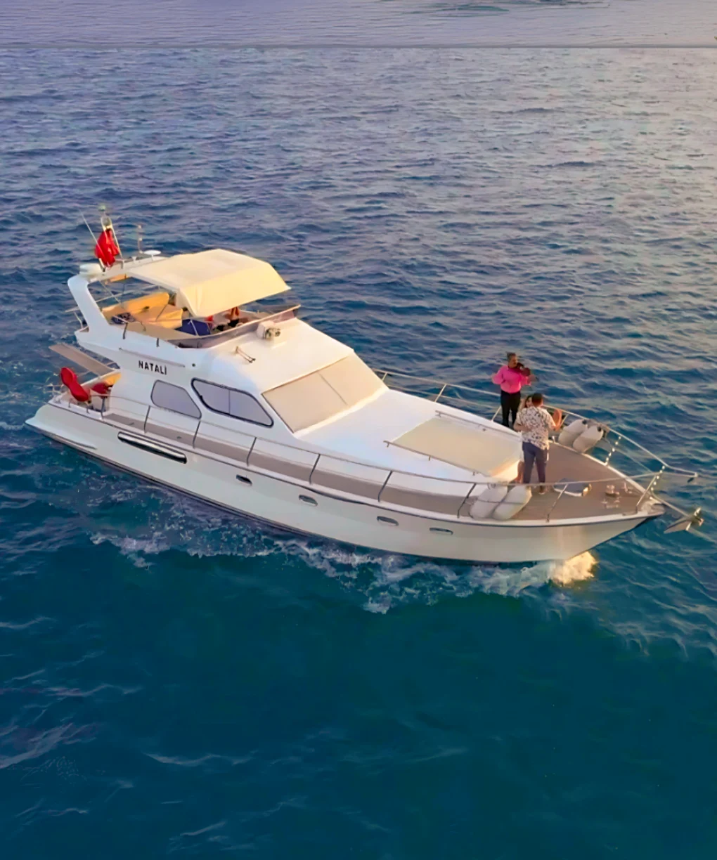 Natali Yat Standart Paket Evlilik Teklifi Organizasyonu - Görsel 5