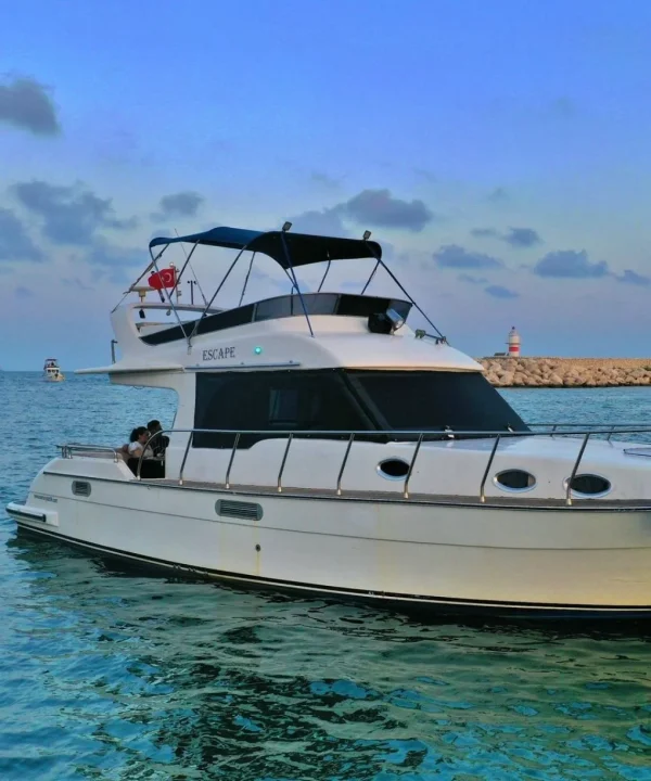 Escape Yatı Standart Paket Evlilik Teklifi Organizasyonu – Mersin Marina